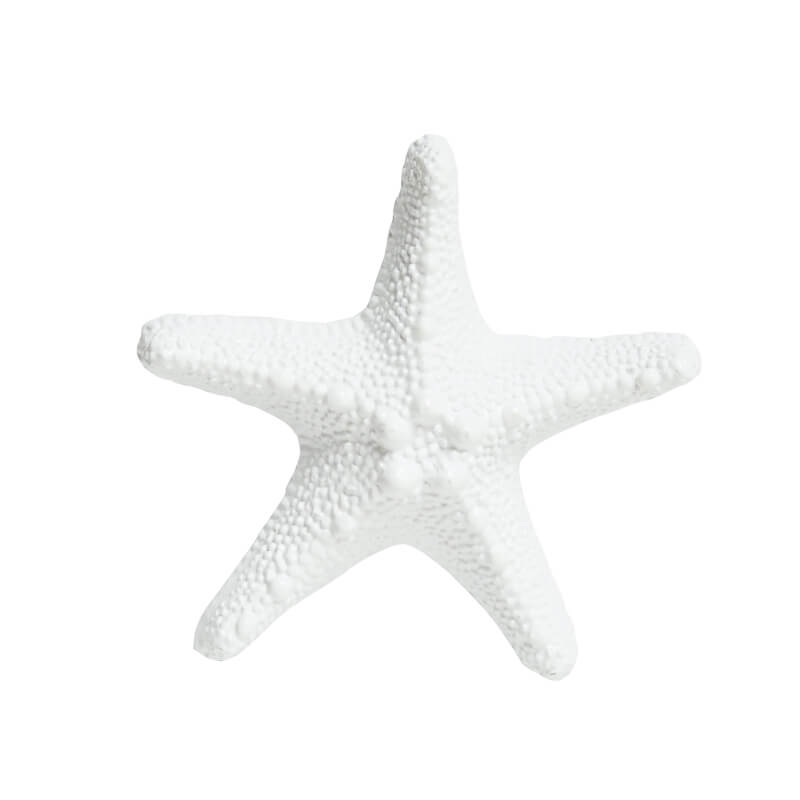 Medium Starfish | Von Gern Home
